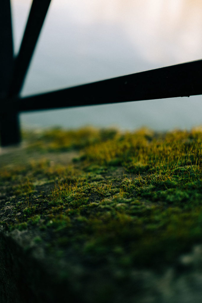 Paris wedding photographer