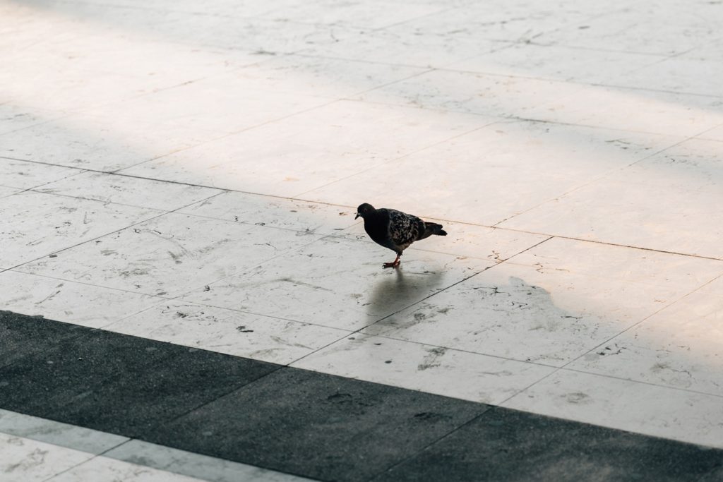 paris proposal elopement photographer
