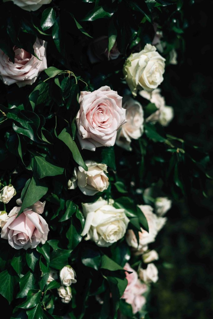 Photographe mariage Château de Chantilly